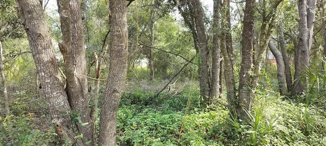 $10,500 | 96 North Sheltering Oaks Drive, Inverness, FL 34453