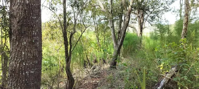 $10,500 | 96 North Sheltering Oaks Drive, Inverness, FL 34453