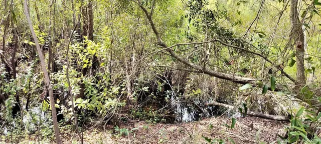 $10,500 | 96 North Sheltering Oaks Drive, Inverness, FL 34453