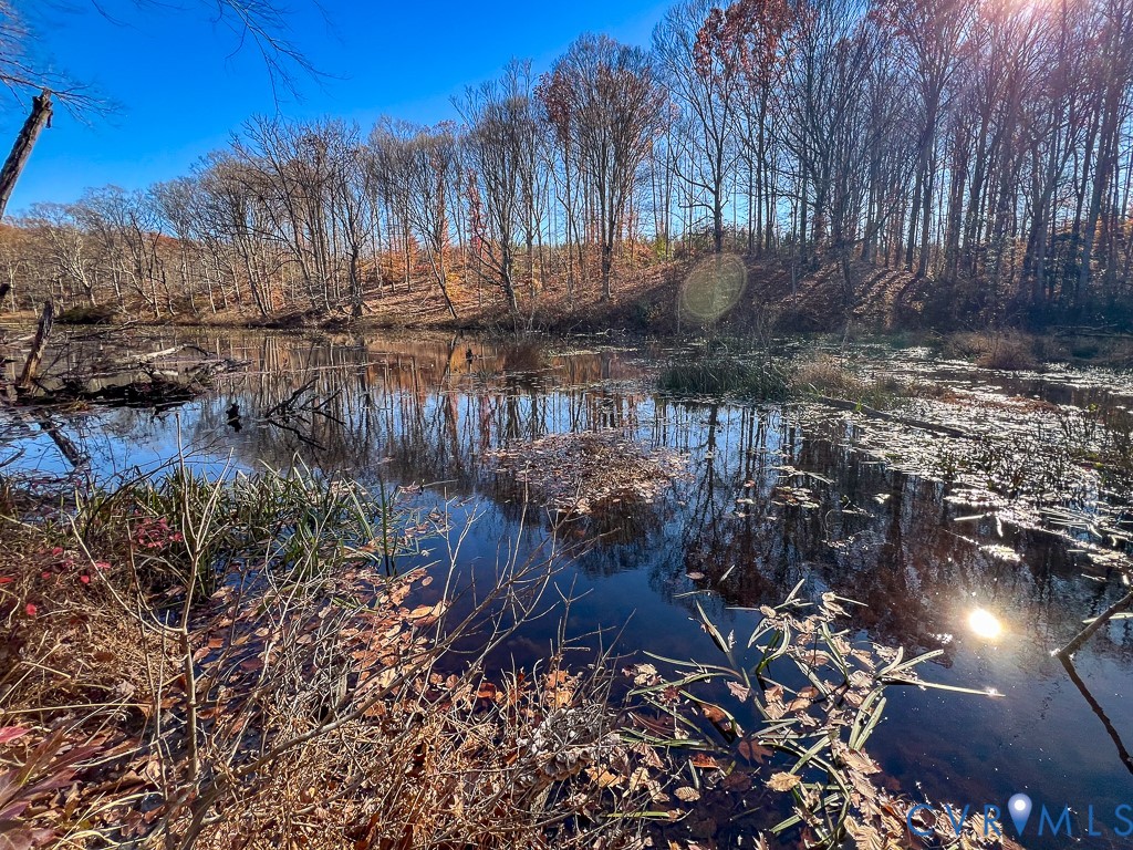 0 Bull Neck Road Tappahannock, VA 22560 - Photo 11 of 49 a view of a yard with plants and trees