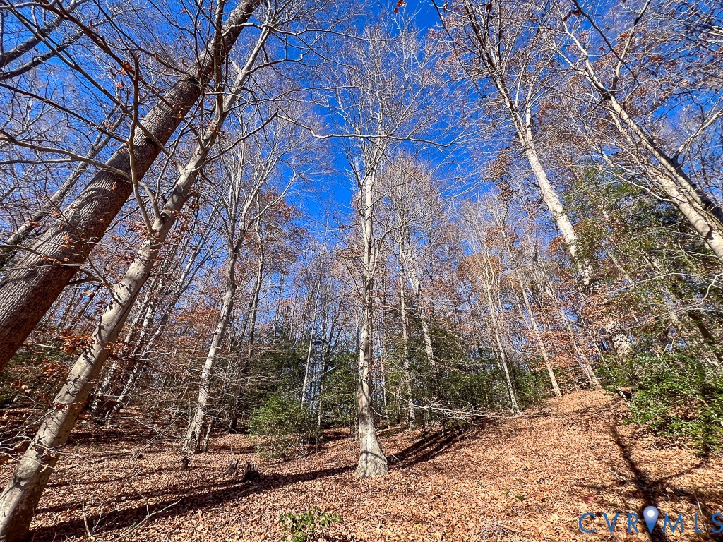 0 Bull Neck Road Tappahannock, VA 22560 - Photo 15 of 49 a backyard of a house with lots of green space