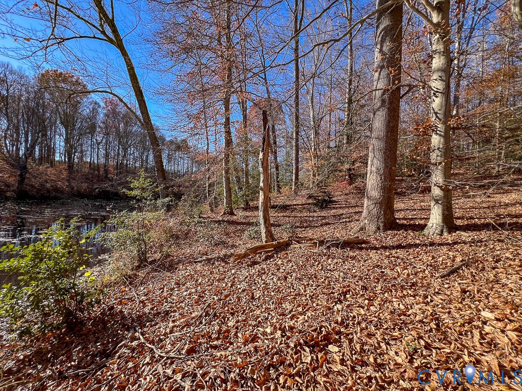 0 Bull Neck Road Tappahannock, VA 22560 - Photo 16 of 49 a backyard of a house