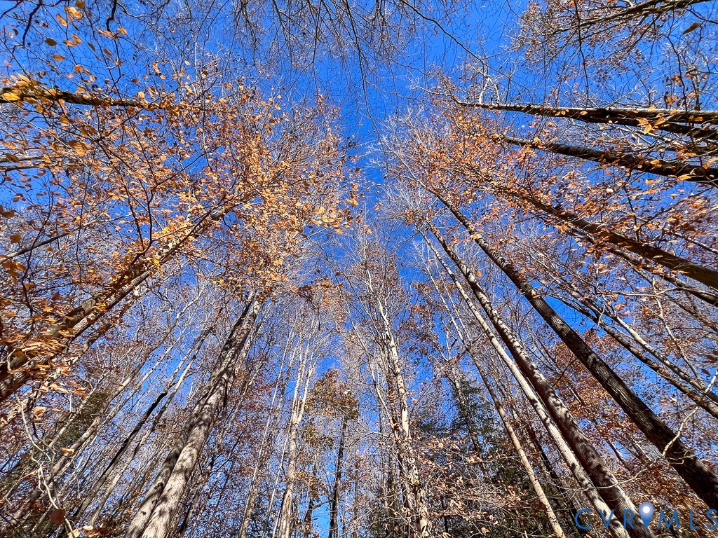 0 Bull Neck Road Tappahannock, VA 22560 - Photo 17 of 49 a view of a yard with wooden fence