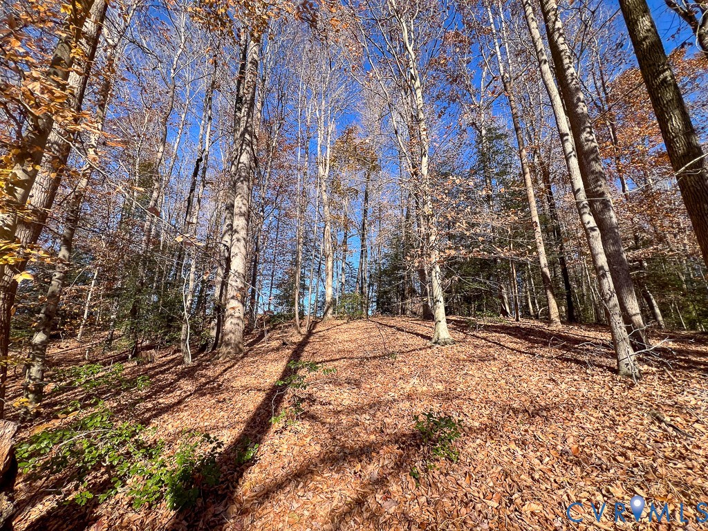 0 Bull Neck Road Tappahannock, VA 22560 - Photo 18 of 49 a backyard of a house with large trees