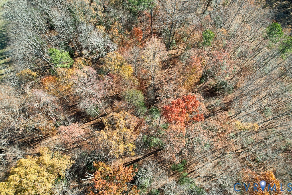 0 Bull Neck Road Tappahannock, VA 22560 - Photo 19 of 49 a backyard of a house