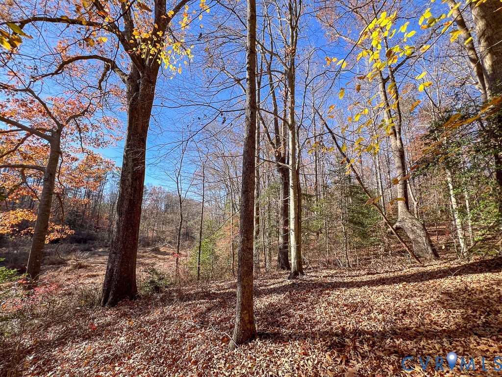 0 Bull Neck Road Tappahannock, VA 22560 - Photo 22 of 49 a backyard of a house with lots of green space
