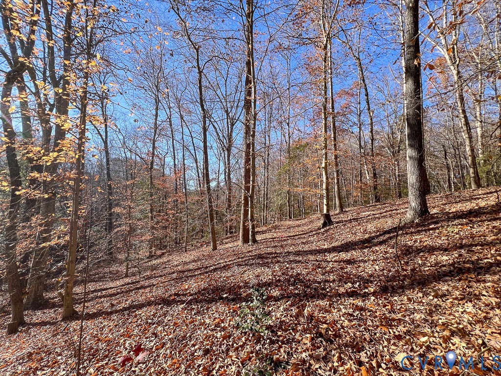 0 Bull Neck Road Tappahannock, VA 22560 - Photo 23 of 49 a backyard of a house