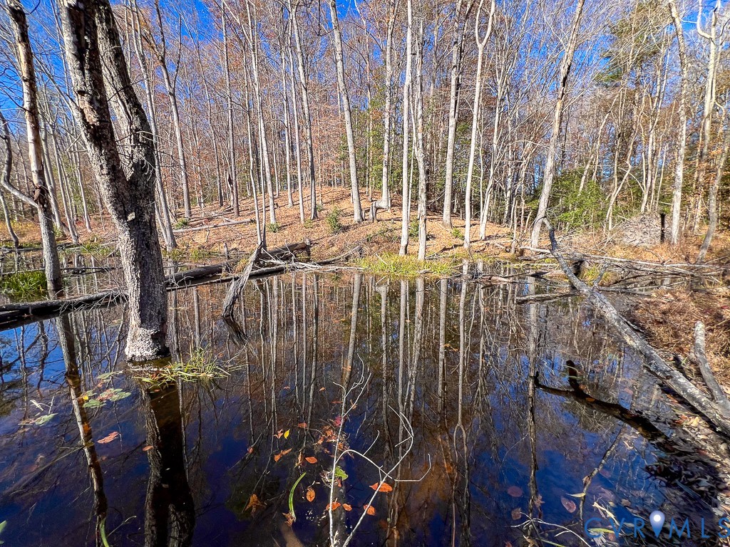 0 Bull Neck Road Tappahannock, VA 22560 - Photo 25 of 49 a view of outdoor space with seating area and trees