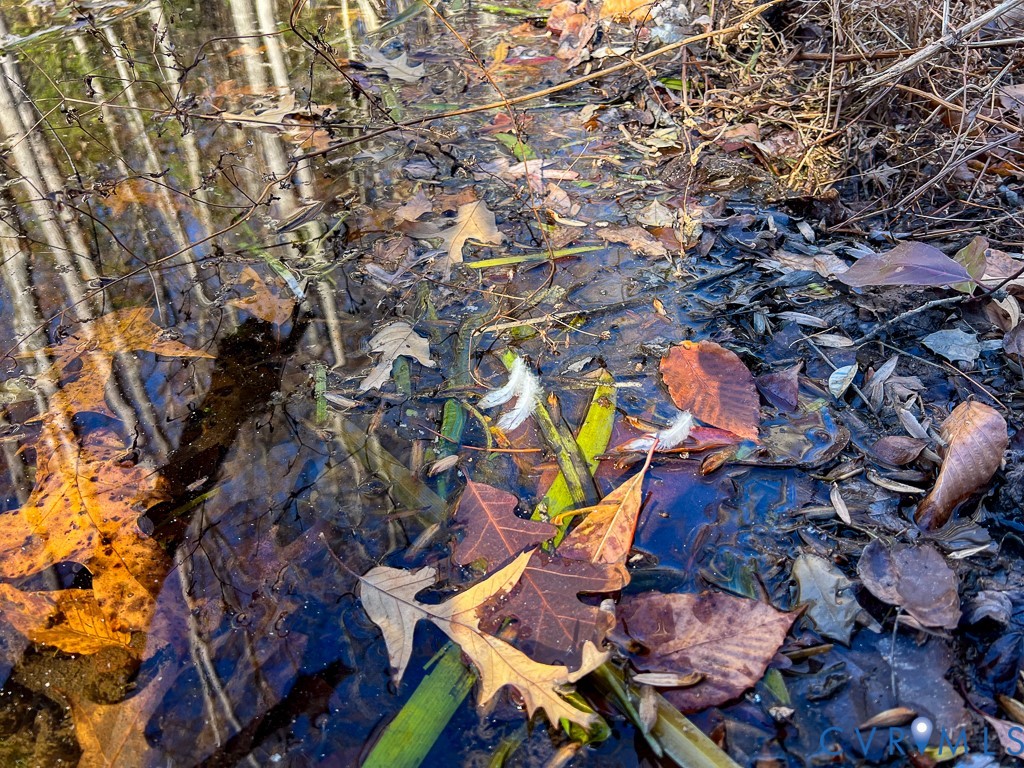 0 Bull Neck Road Tappahannock, VA 22560 - Photo 27 of 49 unknown