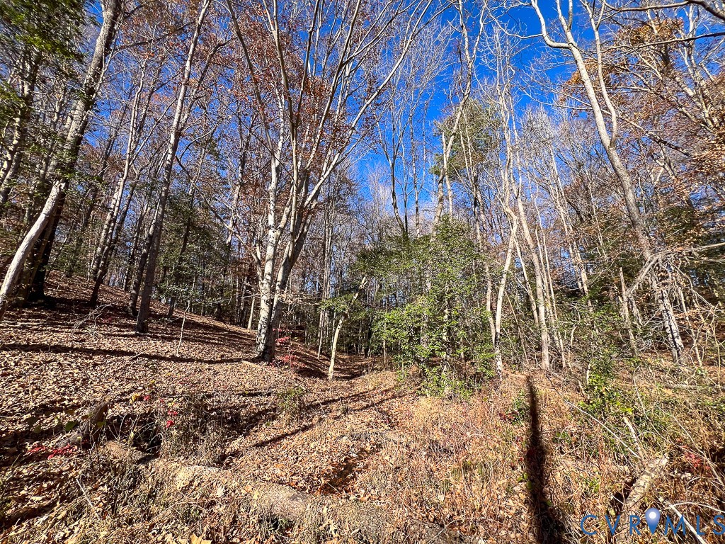 0 Bull Neck Road Tappahannock, VA 22560 - Photo 28 of 49 a backyard of a house with lots of green space