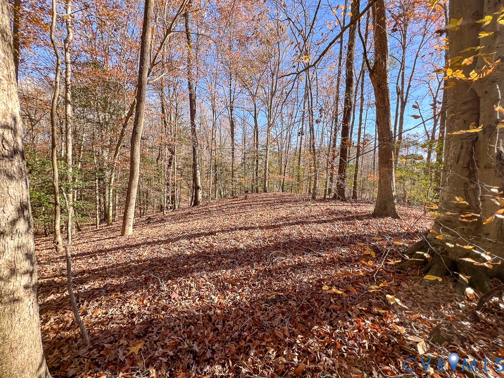 0 Bull Neck Road Tappahannock, VA 22560 - Photo 32 of 49 a backyard of a house with lots of green space
