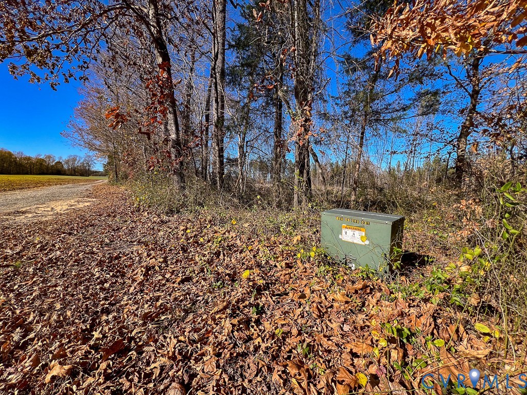 0 Bull Neck Road Tappahannock, VA 22560 - Photo 4 of 49 a view of a yard