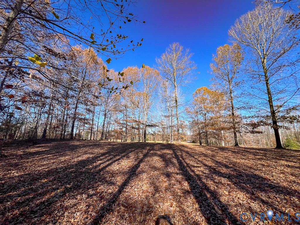 0 Bull Neck Road Tappahannock, VA 22560 - Photo 5 of 49 a view of a yard with a house