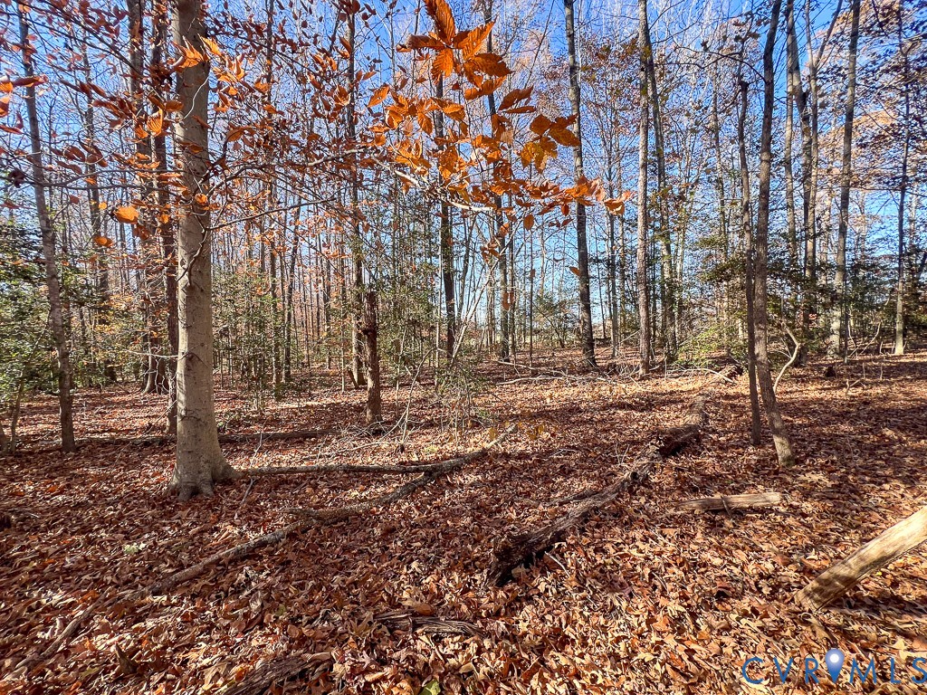 0 Bull Neck Road Tappahannock, VA 22560 - Photo 7 of 49 a view of house with trees