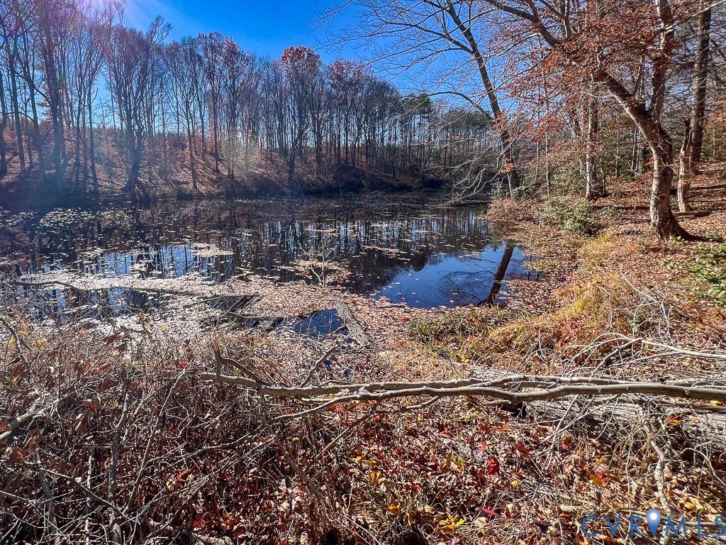 0 Bull Neck Road Tappahannock, VA 22560 - Photo 9 of 49 a view of a yard with an outdoor space