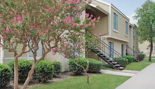 a front view of a house with a yard and plant in front of main door