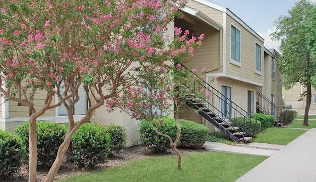 a front view of a house with a yard and plant in front of main door