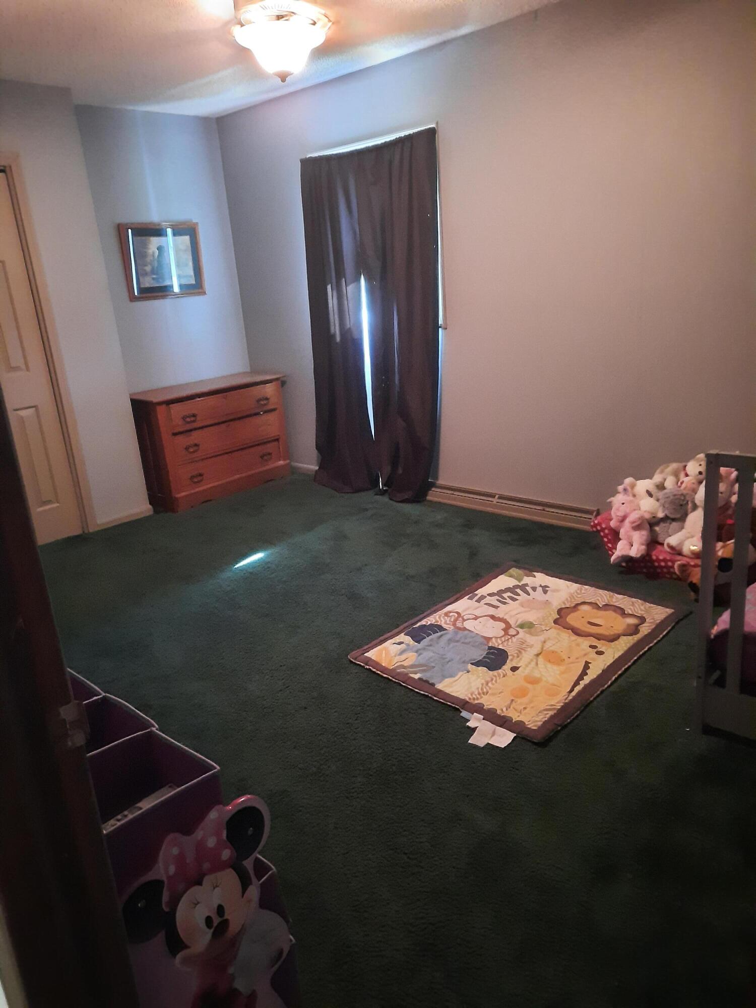 239 South Willowbrook Road Coldwater, MI 49036 - Photo 29 of 75 20220703_171959