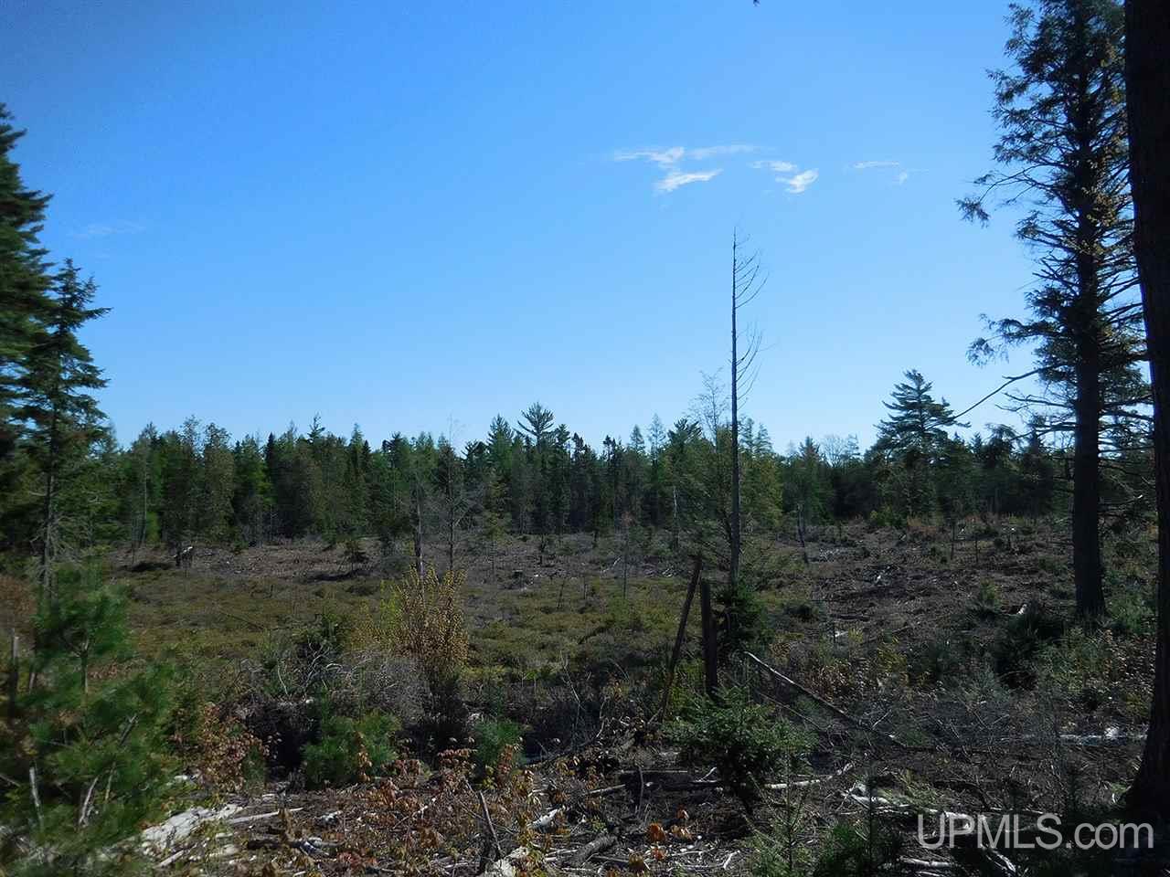 1480 Acres On Co Road Manistique, MI 49854 - Photo 22 of 49