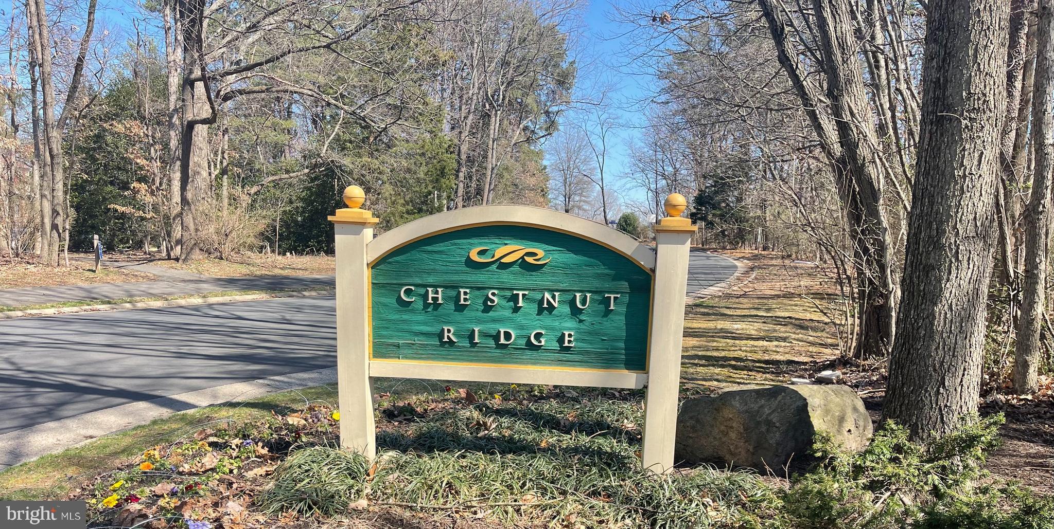 1507 Twisted Oak Drive Reston, VA 20194 - Photo 3 of 26