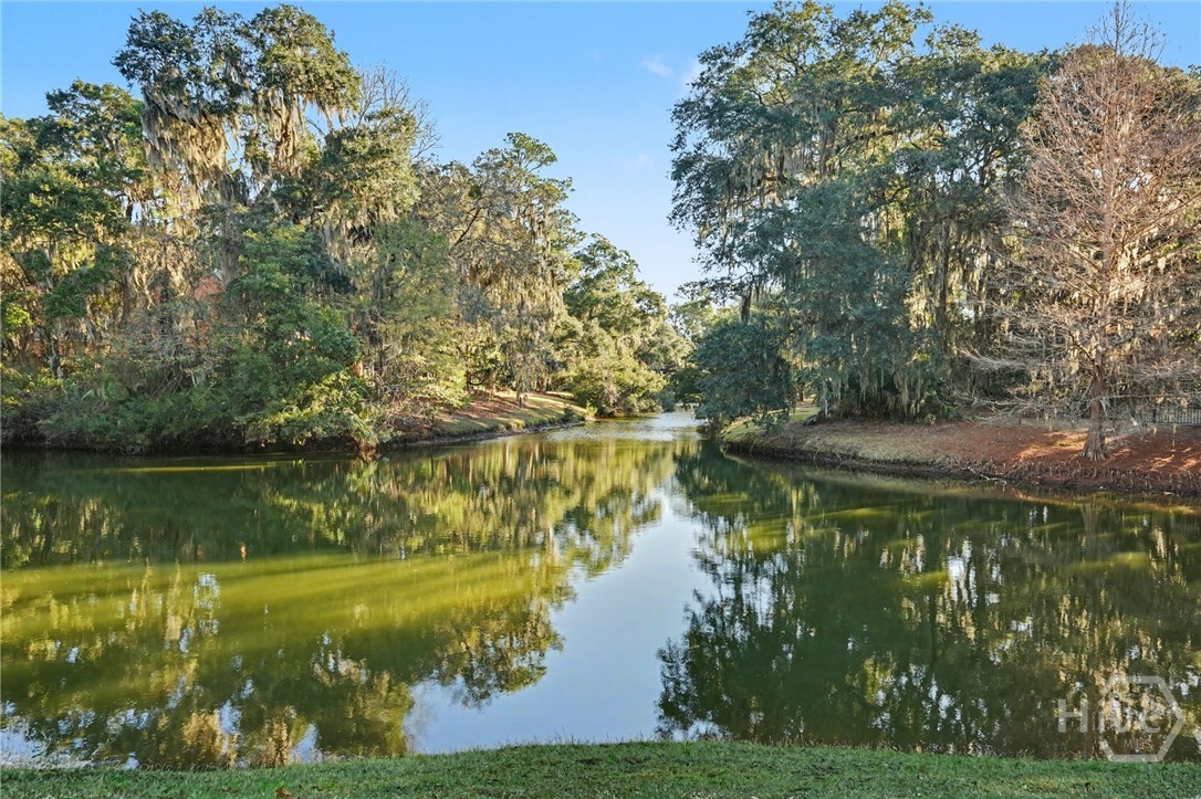1 Boars Nest Lane Savannah, GA 31411 - Photo 36 of 36