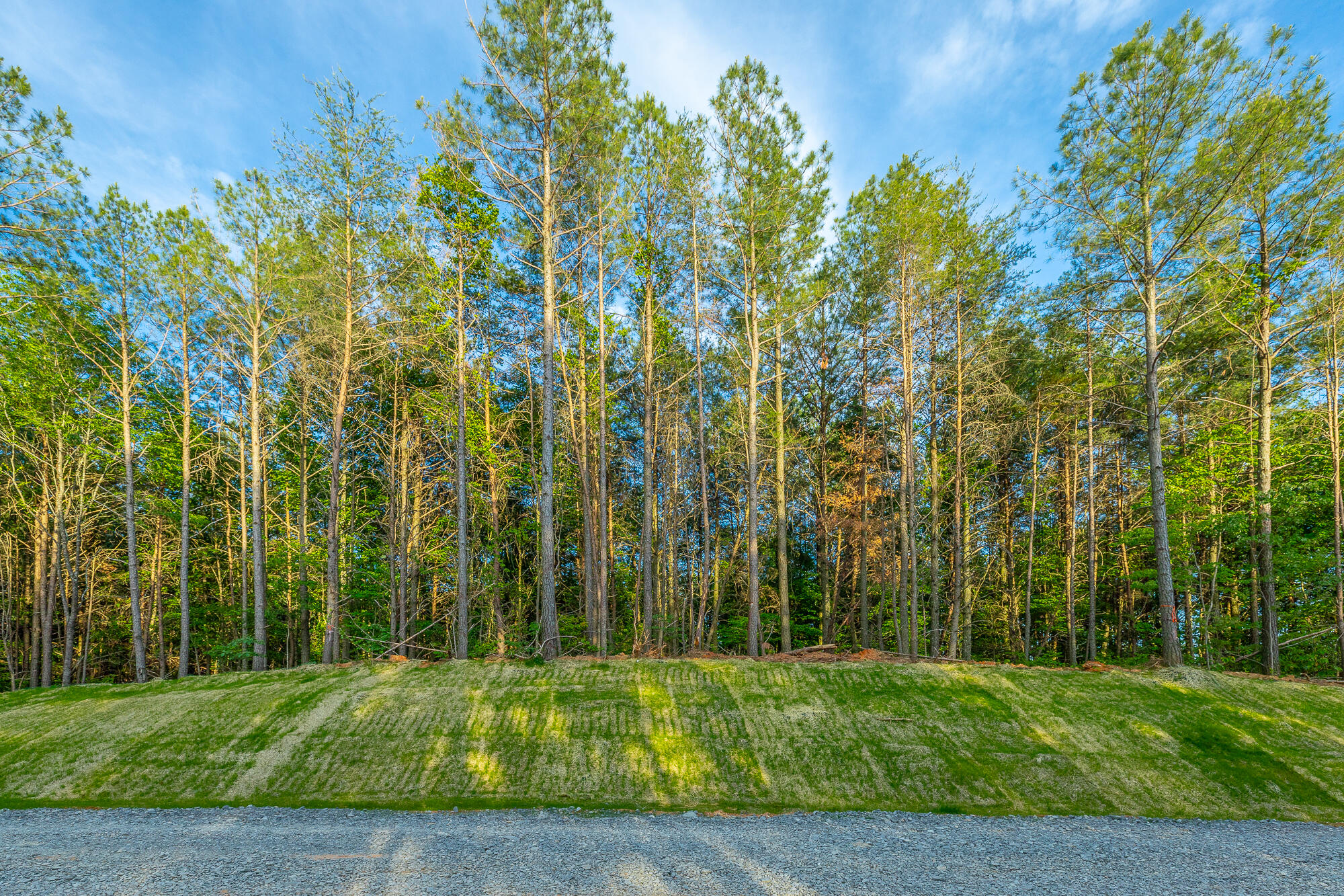 0 Cannon Way, Unit LOT 1317 Guild, TN 37340 - Photo 1 of 99 0 Cannon Way - Lot 1317 HD-53
