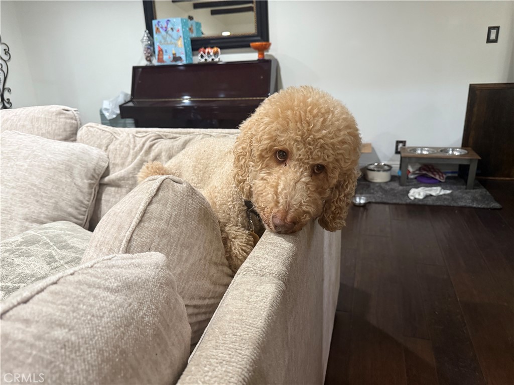 716 North Grand, Unit D3 Covina, CA 91724 - Photo 34 of 35 a bed sitting in a bedroom next to a window with tv and screen