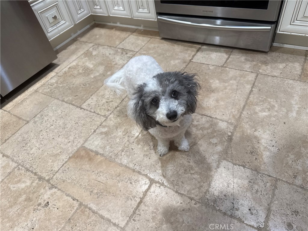 716 North Grand, Unit D3 Covina, CA 91724 - Photo 10 of 35 a utility room with a washer and dryer