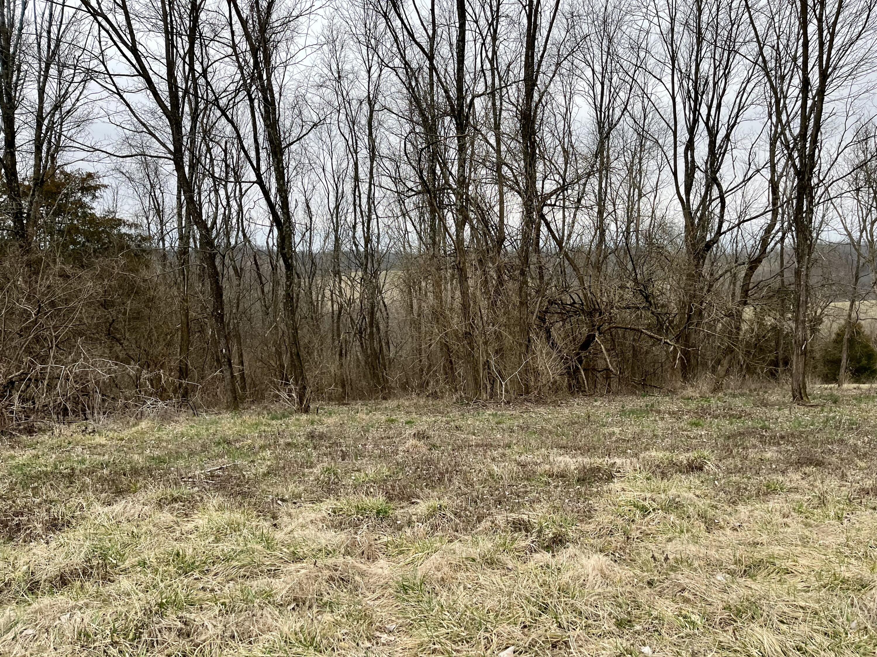 330 Epperson Road Winchester, KY 40391 - Photo 22 of 24 IMG_5464