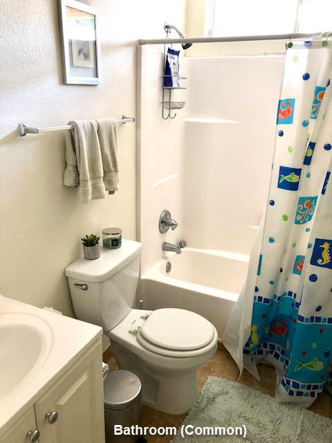 73427 Santa Rosa Way Palm Desert, CA 92260 - Photo 16 of 25 _bathroom common IMG_6418