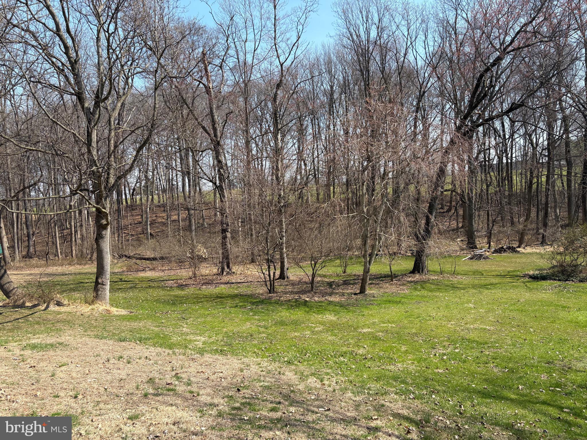 7 Briar Chase Road West Grove, PA 19390 - Photo 4 of 4 a view of park with trees