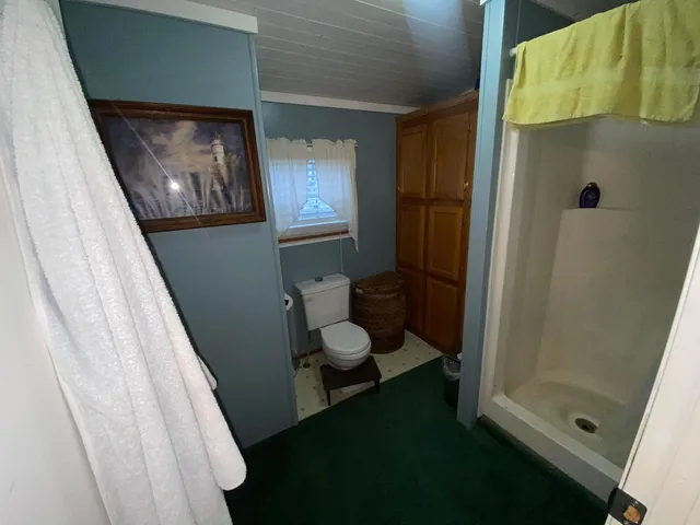a bathroom with a toilet and a shower
