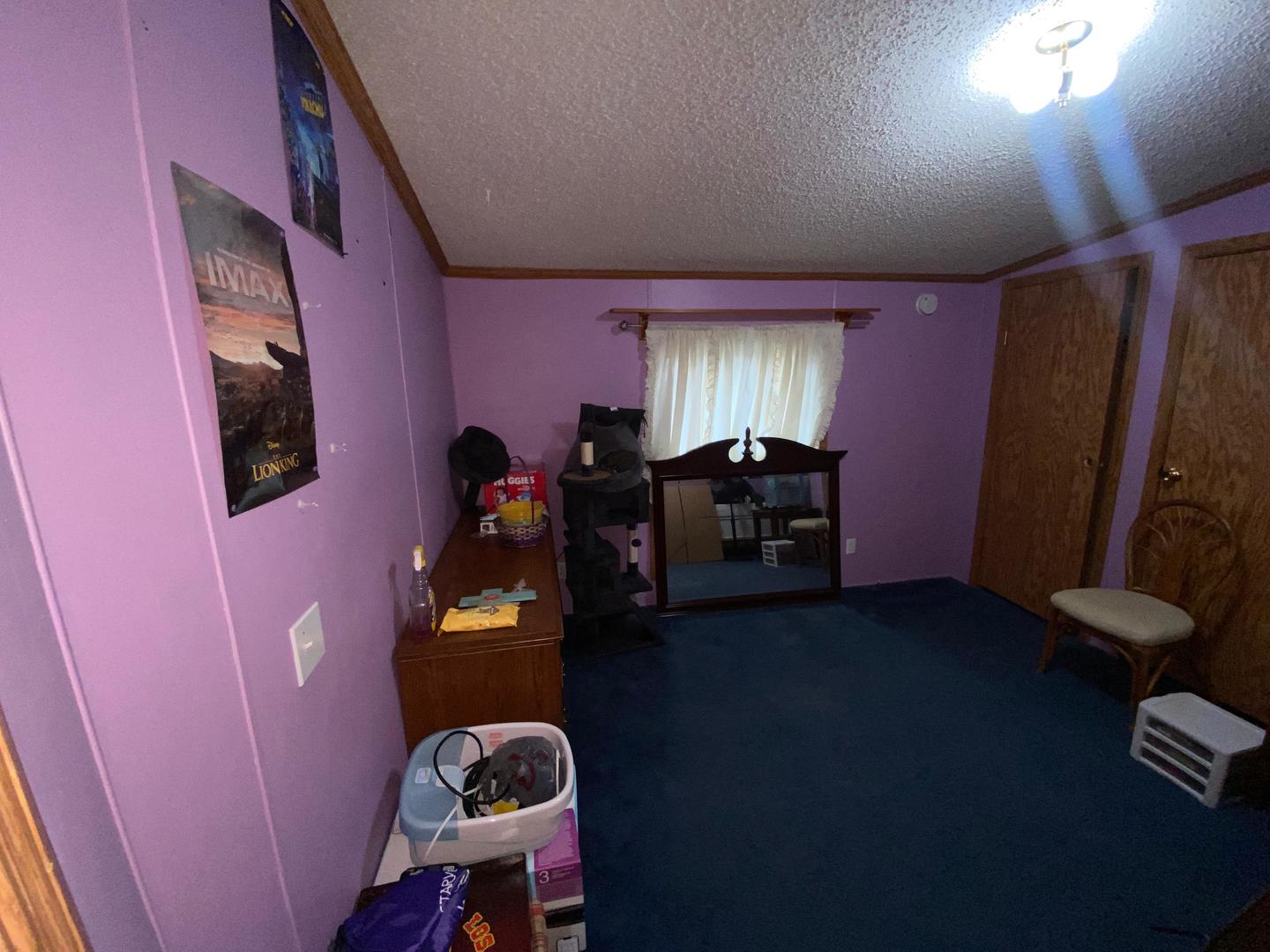 207 South Main Street Fithian, IL 61844 - Photo 5 of 23 a living room with furniture and gym equipment