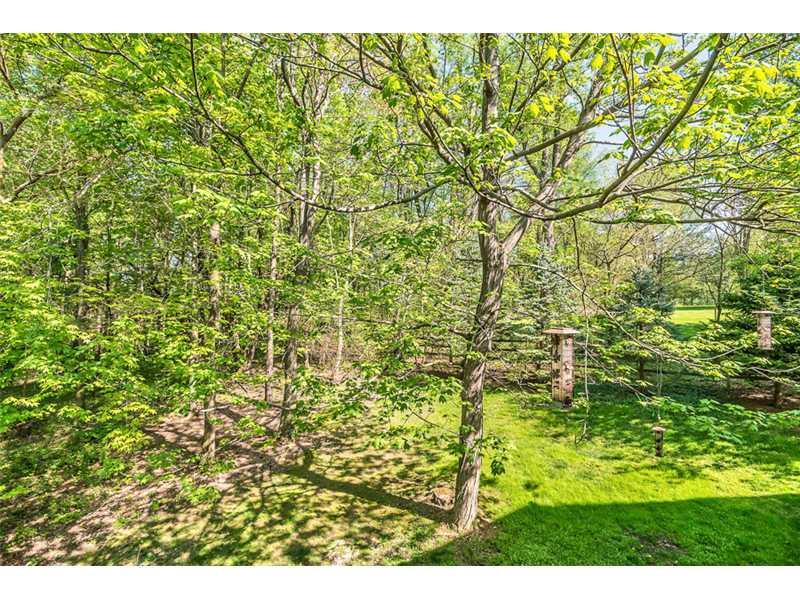 694 Franklin Road Mars, PA 16046 - Photo 22 of 24 Yard/Garden.