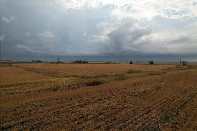 a view of an ocean beach