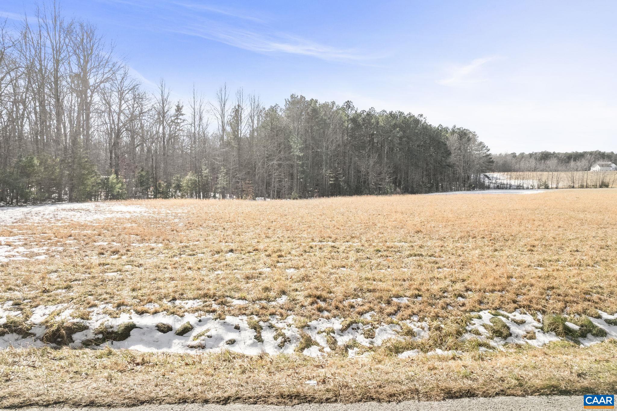 20 Hollands Road Palmyra, VA 22963 - Photo 24 of 25 a view of outdoor space and trees