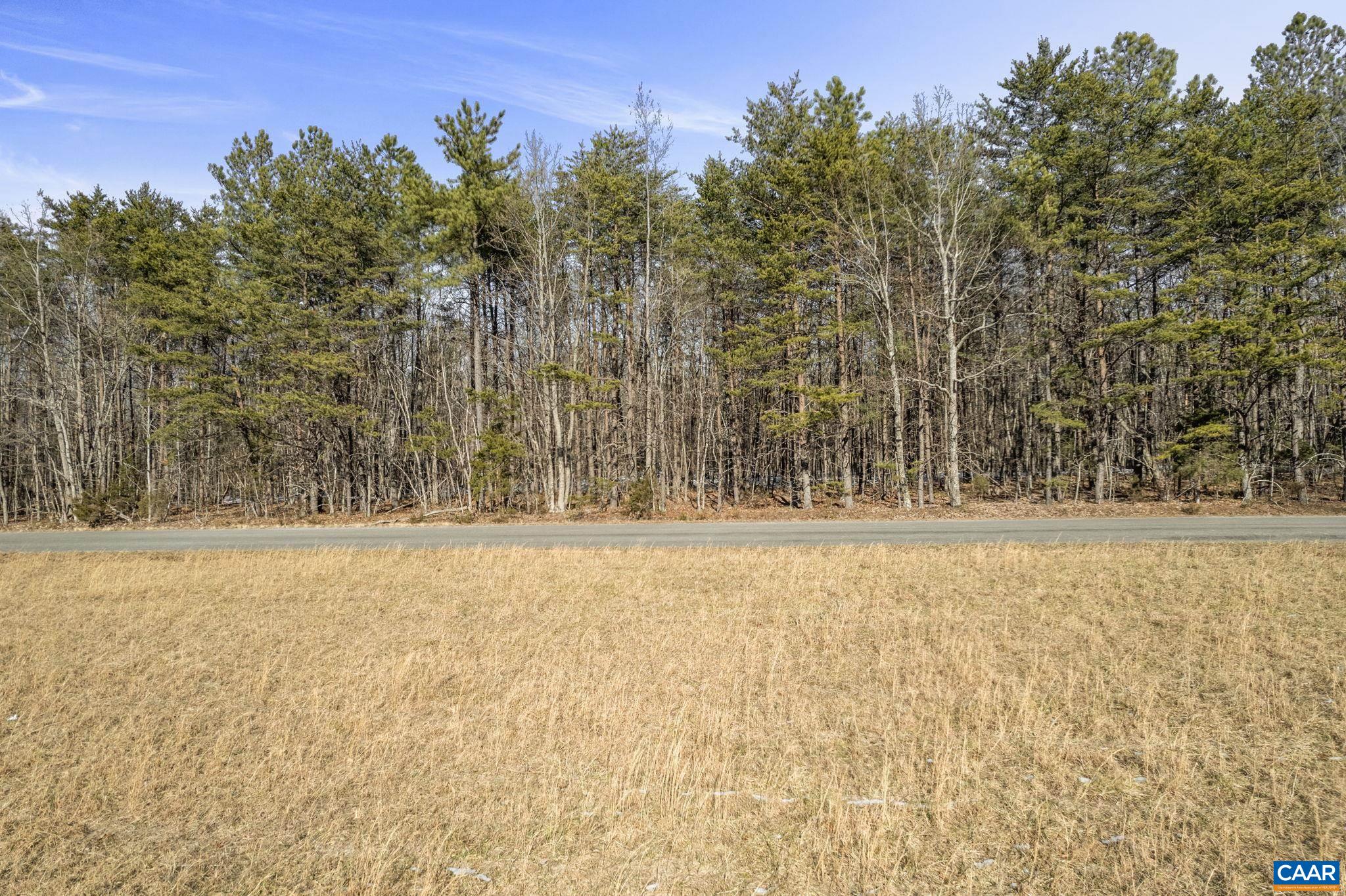 20 Hollands Road Palmyra, VA 22963 - Photo 6 of 25 a view of an outdoor space and trees
