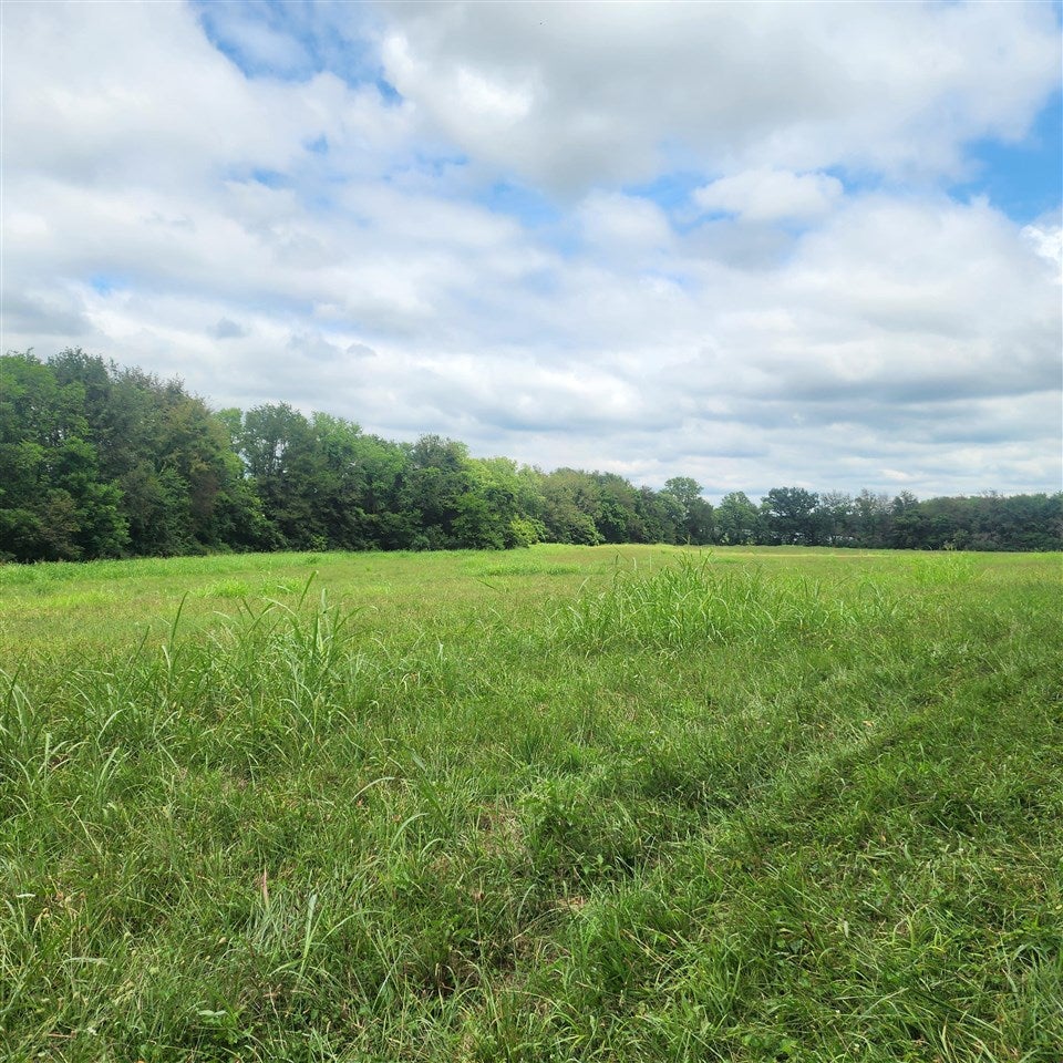 0 Turner Ford Road Auburn, KY 42206 - Photo 5 of 6 Gallery Image 5