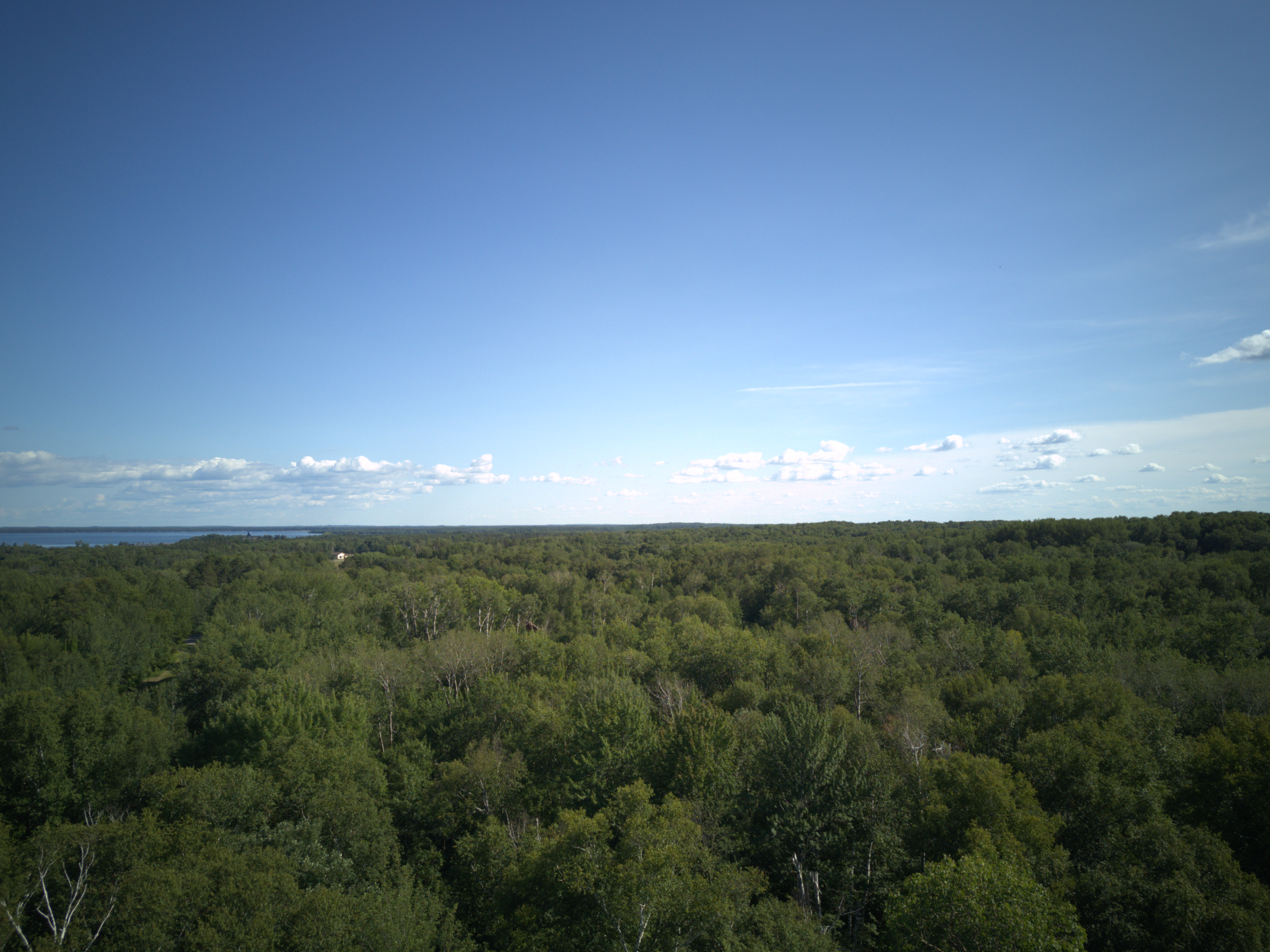 0 Racoon Lane Breezy Point, MN 56472 - Photo 8 of 8