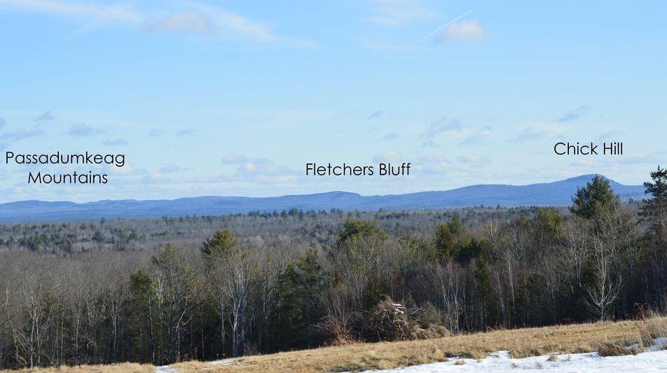 Lot # Fox Lane Eddington, ME 04428 - Photo 1 of 4 view 2 fox hill (002)