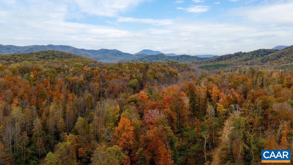0 Adial Road, Unit 10 Faber, VA 22938 - Photo 5 of 10 a view of lake and mountain