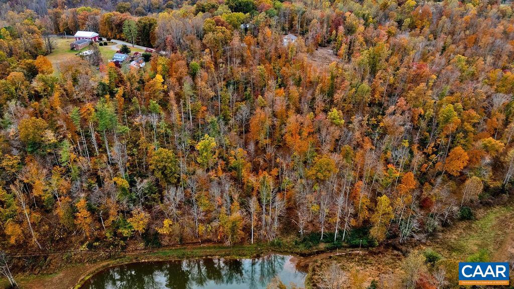 0 Adial Road, Unit 10 Faber, VA 22938 - Photo 8 of 10