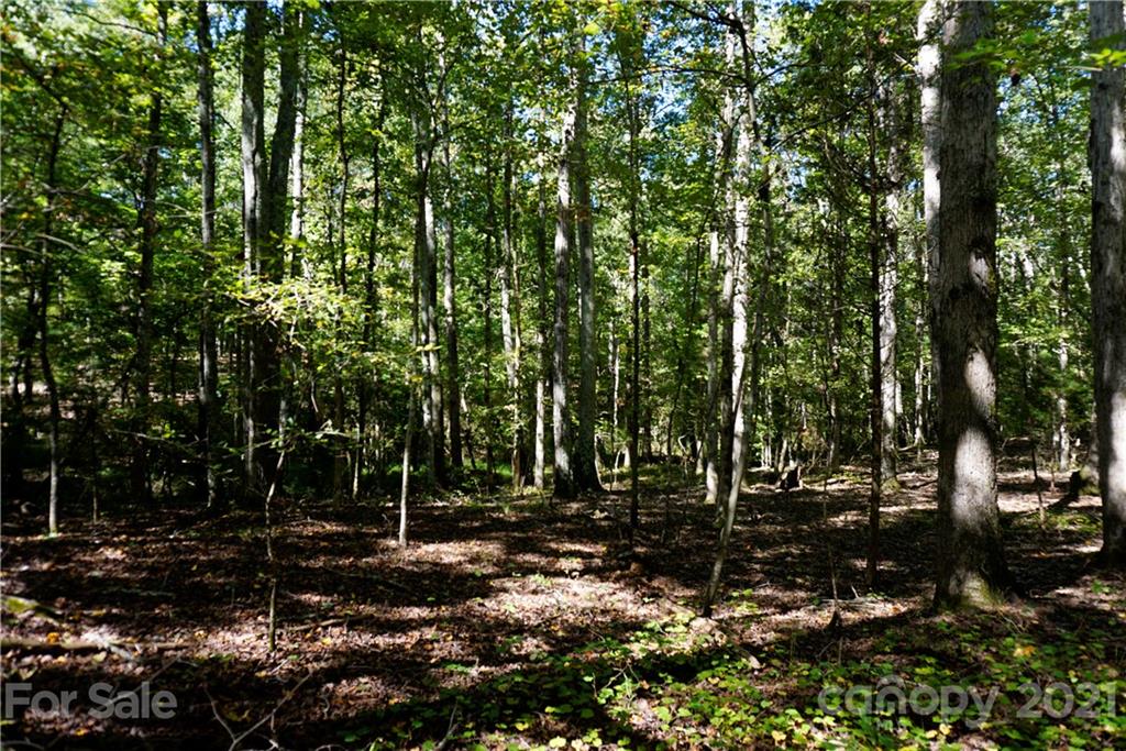 8 Ac Holly Road, Unit 3A Clover, SC 29710 - Photo 8 of 19 Gallery Image 8