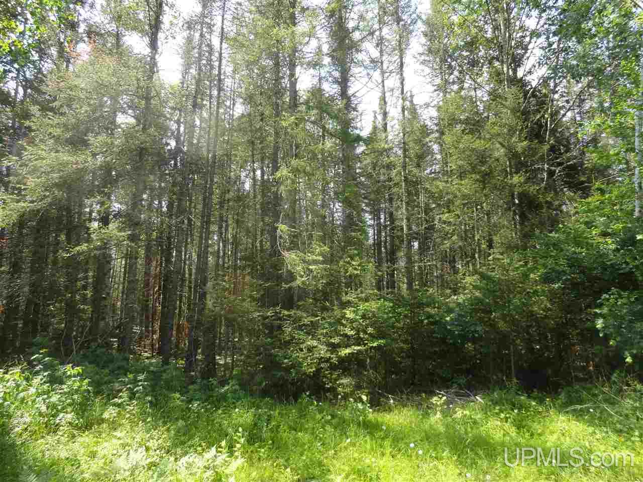 8878 Co Road Republic, MI 49879 - Photo 17 of 34
