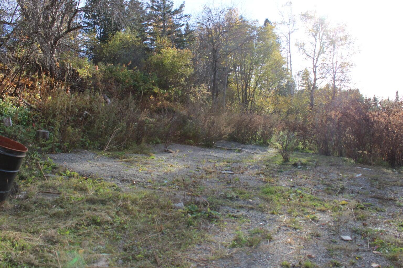 121 Center Road Easton, ME 04740 - Photo 2 of 3