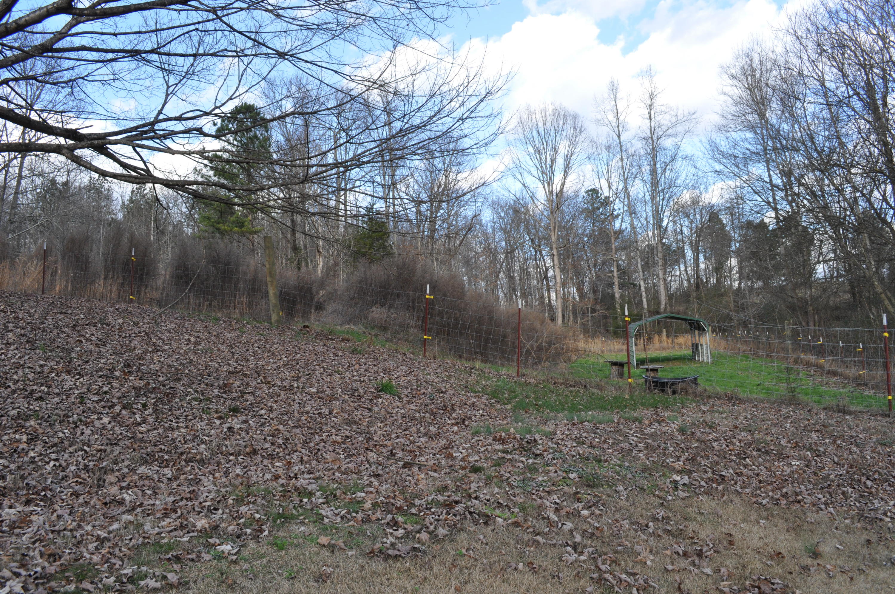 120 J T Vincent Lane Decatur, TN 37322 - Photo 22 of 22 DSC_0267