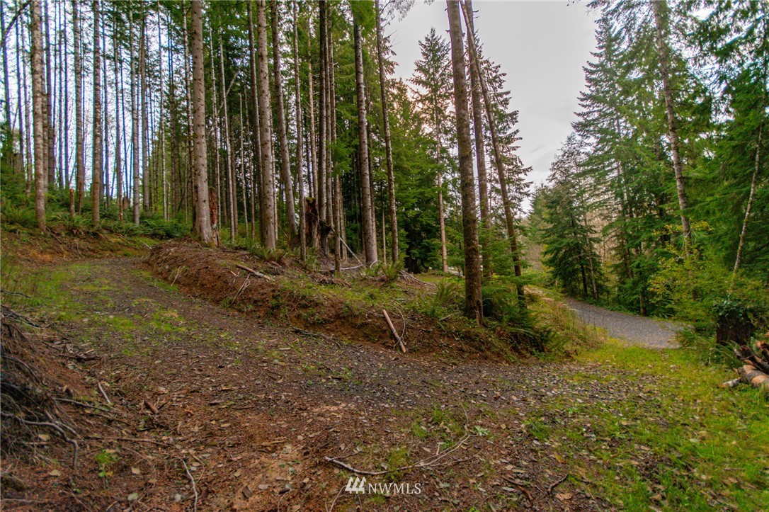 139 Merganser Road Longview, WA 98632 - Photo 2 of 9