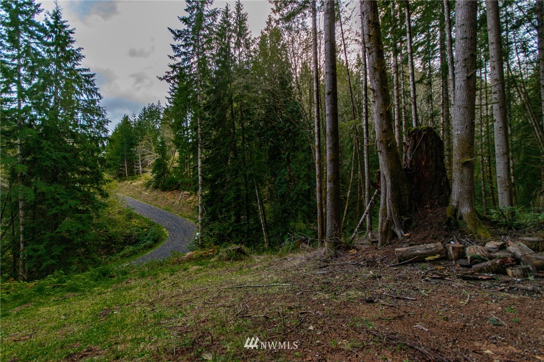 139 Merganser Road Longview, WA 98632 - Photo 8 of 9