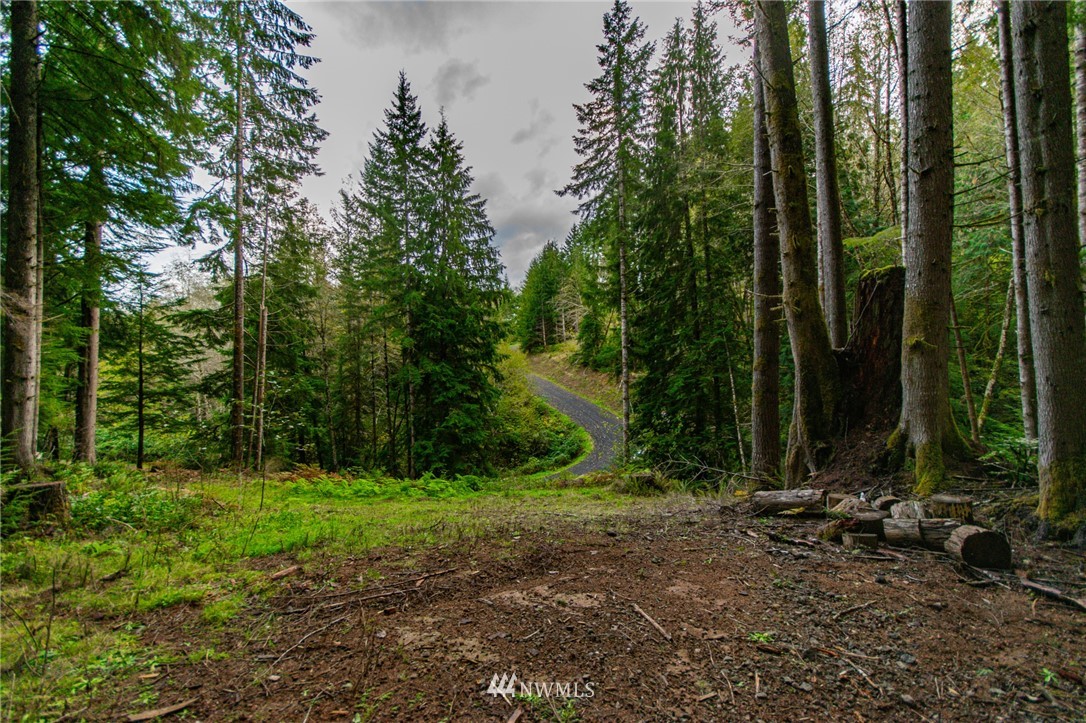 139 Merganser Road Longview, WA 98632 - Photo 9 of 9