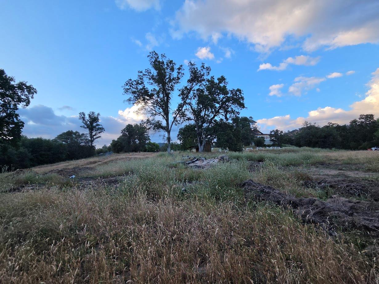 33555 Merrill Ranch Road O'Neals, CA 93645 - Photo 16 of 51 Gallery Image 16